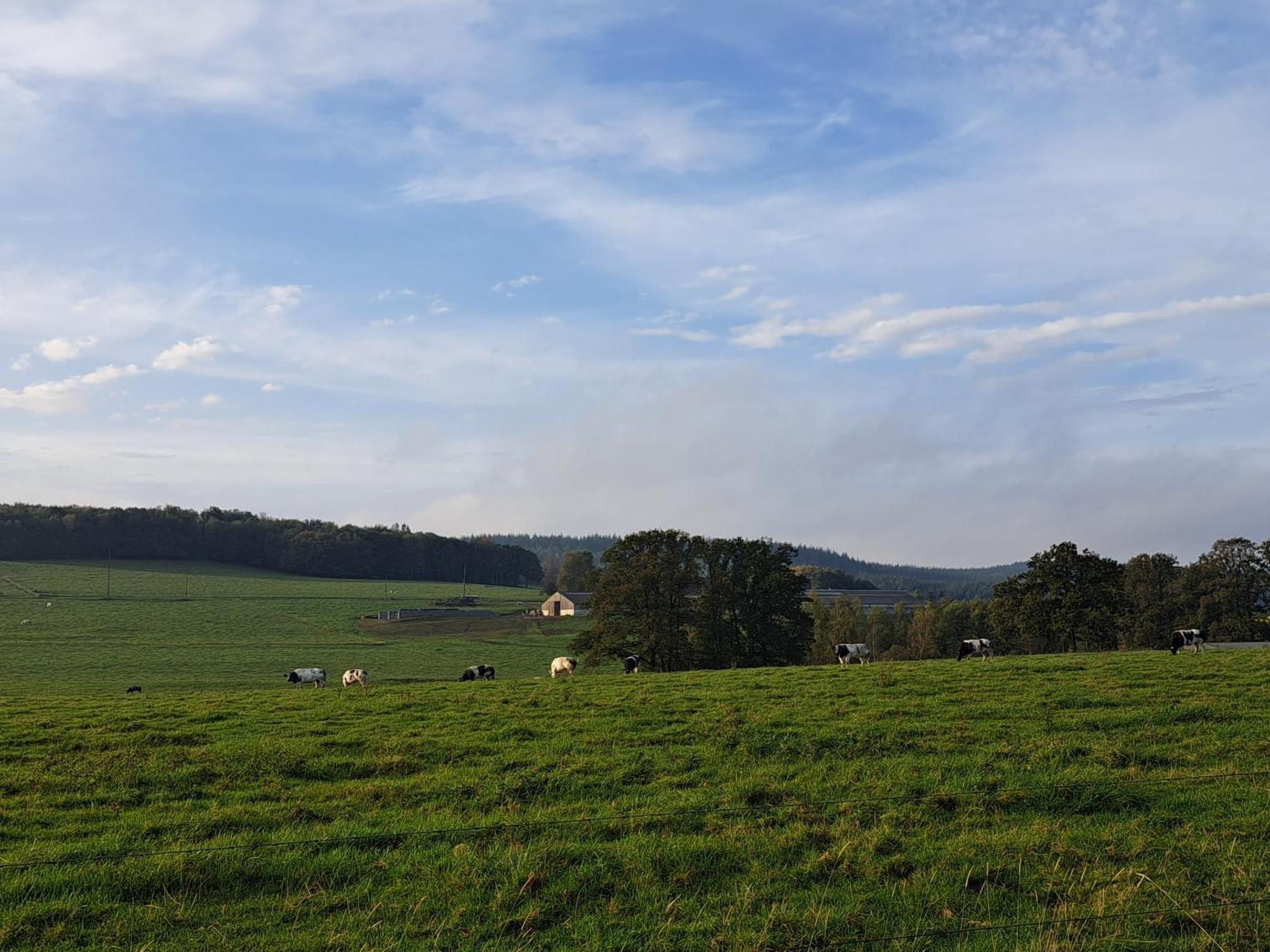 Gite Al Fontaine La-Roche-en-Ardenne Zewnętrze zdjęcie