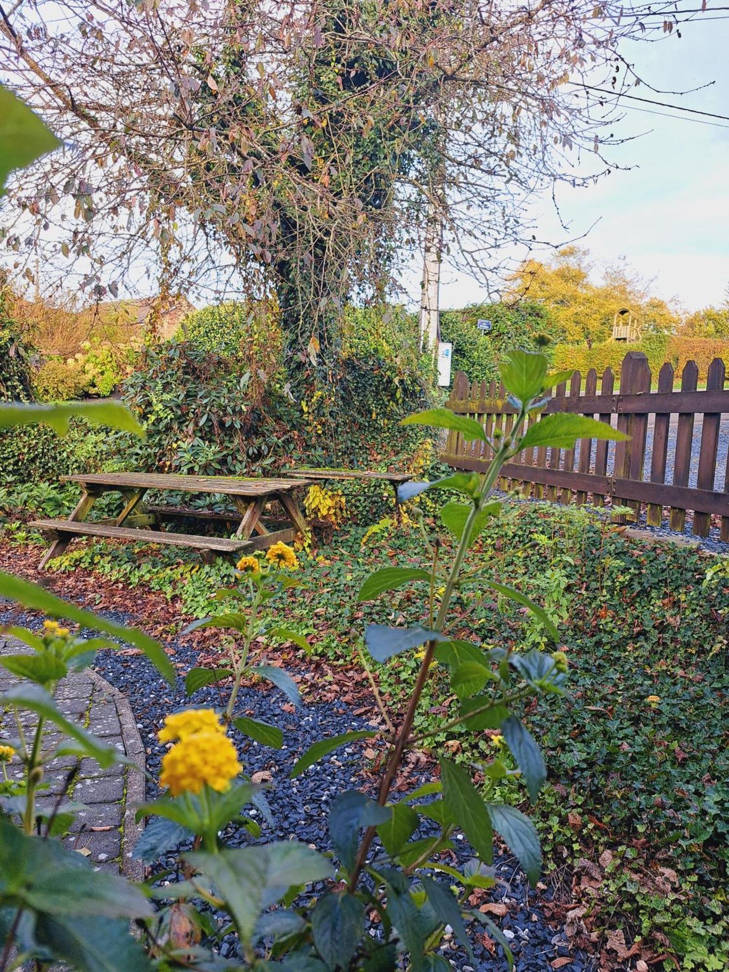 Gite Al Fontaine La-Roche-en-Ardenne Zewnętrze zdjęcie