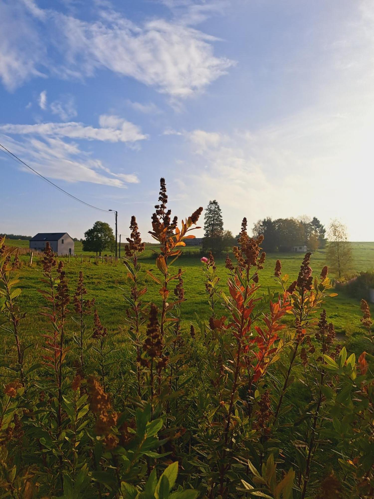 Gite Al Fontaine La-Roche-en-Ardenne Zewnętrze zdjęcie
